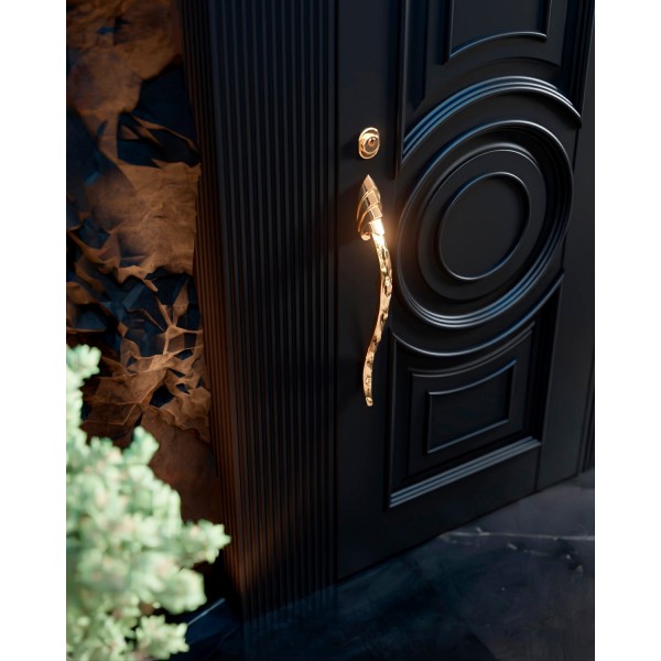 Входная дверь металлическая Argo Diablo Burkovsky