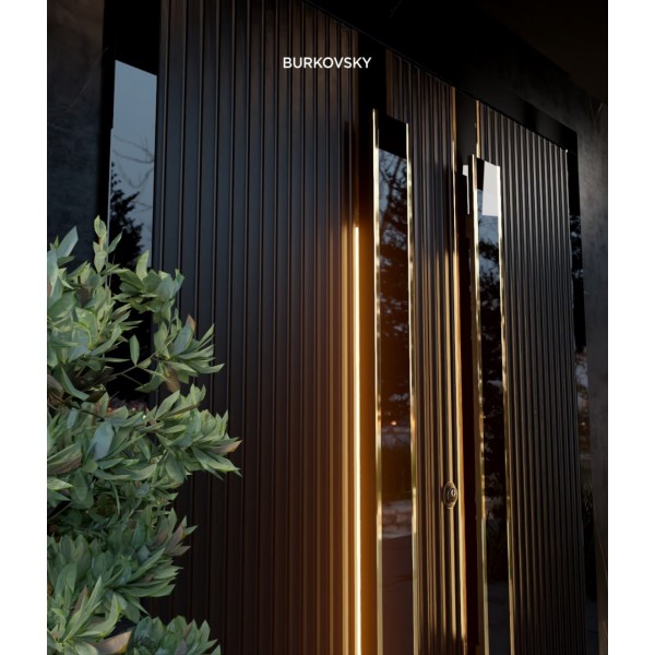 Входная дверь металлическая Rain Burkovsky