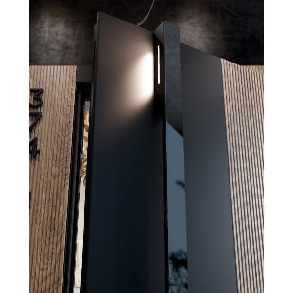 Входная дверь металлическая Rain Burkovsky