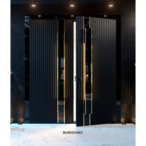 Входная дверь металлическая Rain Burkovsky