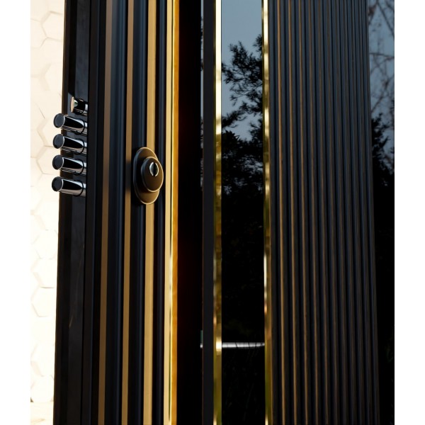 Входная дверь металлическая Rain Burkovsky