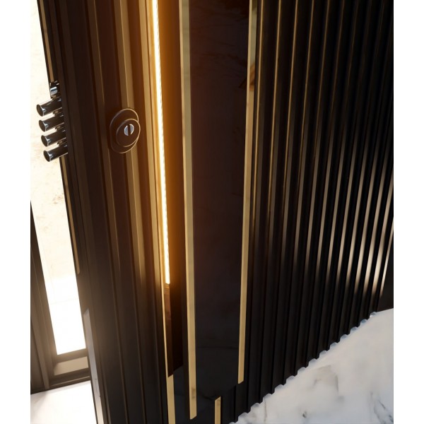 Входная дверь металлическая Rain Burkovsky