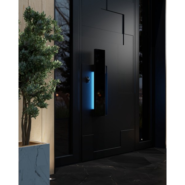 Входная дверь металлическая Graphic NEO Burkovsky